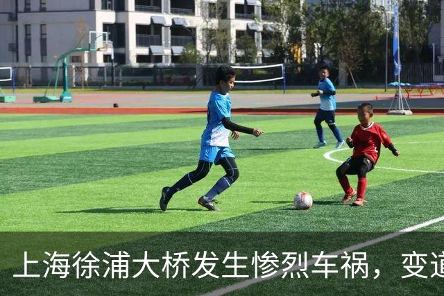上海徐浦大桥发生惨烈车祸，变道致多车相撞有死伤！监控画面曝出