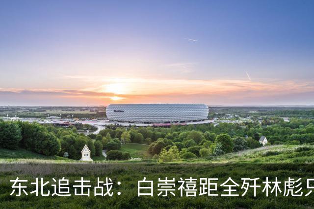 东北追击战：白崇禧距全歼林彪只差一道命令，历史差点被改写！