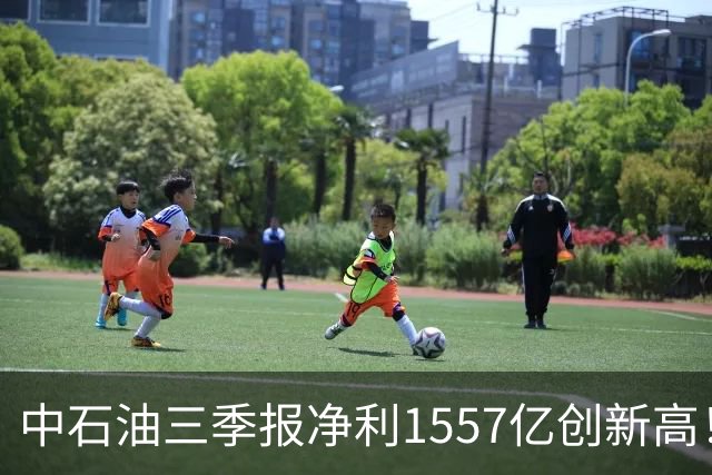 中石油三季报净利1557亿创新高！成品油将调价，每升涨0.25元