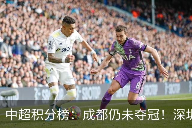 中超积分榜：成都仍未夺冠！深圳、辽宁提前上岸，武汉基本降级