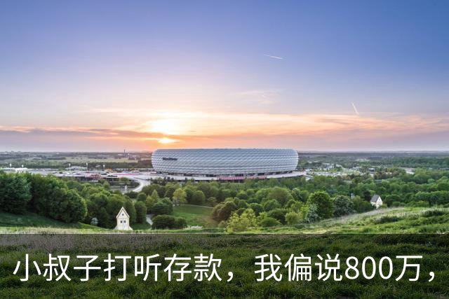 小叔子打听存款，我偏说800万，第二天他把公婆带来借我开厂