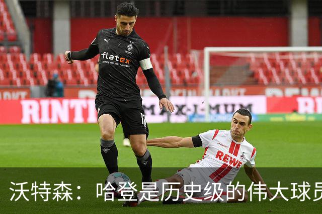 沃特森：哈登是历史级的伟大球员 我只想让他为我感到骄傲