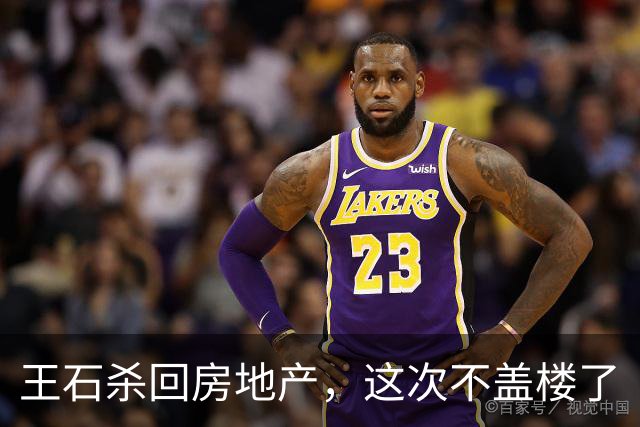 王石杀回房地产，这次不盖楼了
