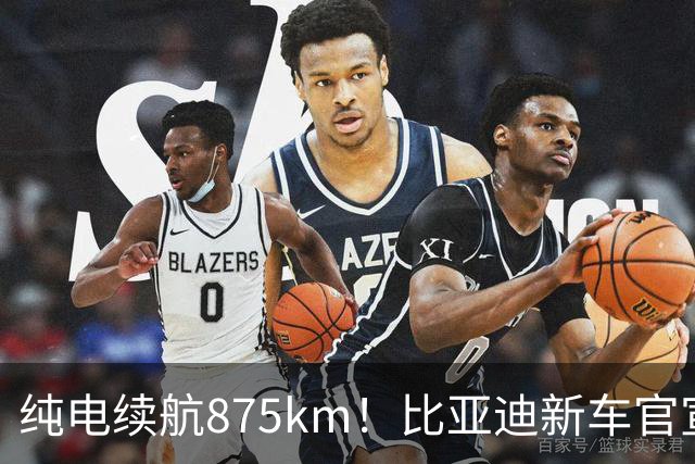 纯电续航875km！比亚迪新车官宣：10月23日即将上市