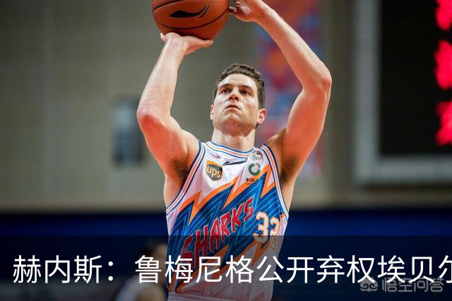 赫内斯：鲁梅尼格公开弃权埃贝尔投票没必要