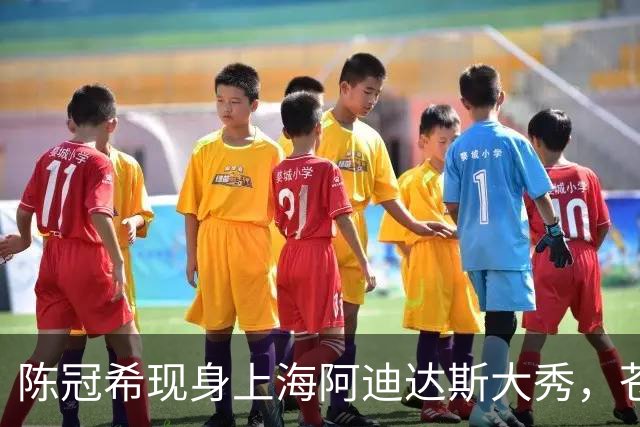 陈冠希现身上海阿迪达斯大秀，苍老疲惫被吴艳妮比下去了
