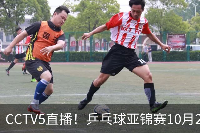 CCTV5直播！乒乓球亚锦赛10月25日赛程：温瑞博战张本智和，蒯曼战张本美和，国乒冲4冠